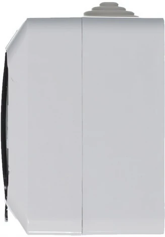 Розетка накладная с заземлением, шторками и крышкой (белый) IP44 Systeme Electric Этюд PA16-044B