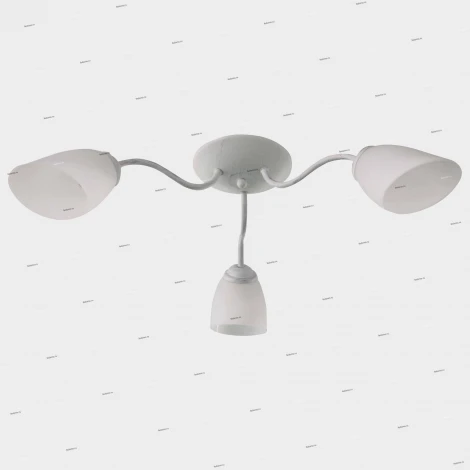 Потолочная люстра J-Light Balu 1510/3C