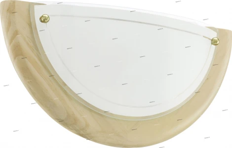 Настенно-потолочный светильник Eglo Ufo 1 3892