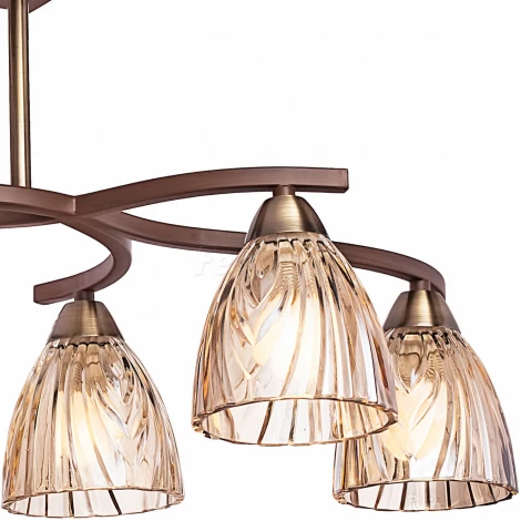 Потолочная люстра Silver Light Comfort 101.59.6