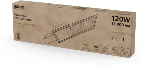 Уличный консольный светильник светодиодный Gauss Avenue 629534220 LED G2 IP65 120W 11000lm 4000K