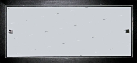 Настенно-потолочный светильник Дубравия Полина 199-41-22