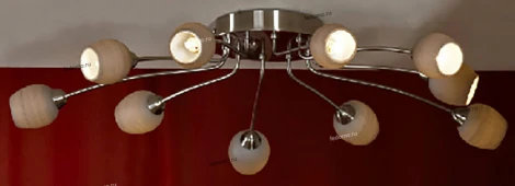 Потолочная люстра Lussole Spilimbergo LSA-3077-10