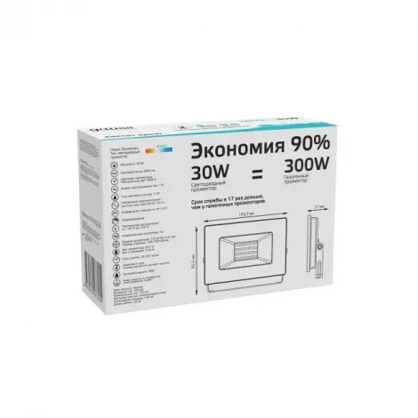 Прожектор уличный Gauss Elementary 613100230 (LED, IP65)