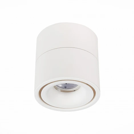 Накладной точечный светильник ST Luce St652 ST652.532.12 (LED, 220V, круглые)