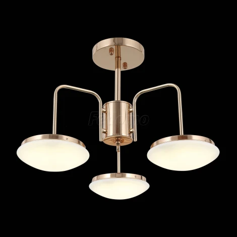 Потолочная люстра ST Luce Pratico SLE120.202.03