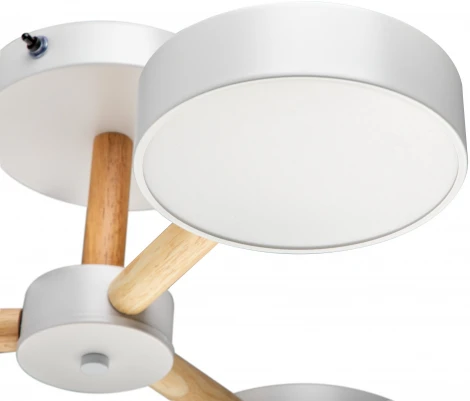 Потолочная люстра светодиодная на штанге с ДУ Ritter Scandia 51589 4