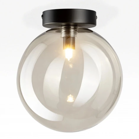 Потолочный светильник в форме шара Citilux Orton CL202511 (220V, шар)