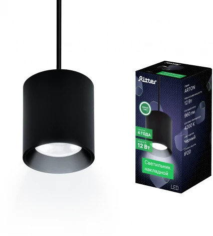 Подвесной светильник Ritter Arton 59985 2