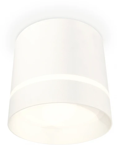 Накладной точечный светильник Ambrella Techno Spot XS8110006 (220V, круглые)