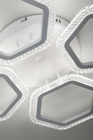 Потолочная люстра светодиодная с пультом Rivoli Nancy 6111-104