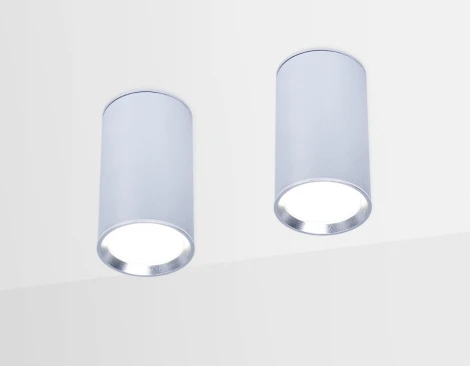 Накладной точечный светильник Ambrella Techno Spot TN219 (220V, круглые)