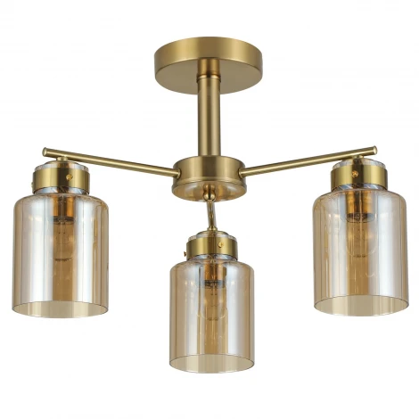 Потолочная люстра на штанге Reluce 07570-0.3-03