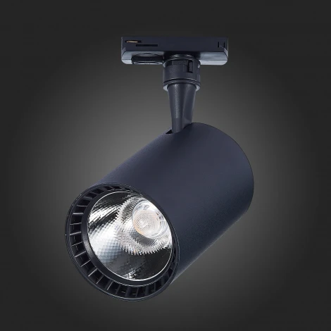 Трековый светильник ST Luce Cami ST351.436.30.36 (LED, 220V, круглые, IP22)