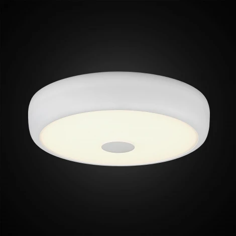 Настенно-потолочный светильник Citilux Фостер-3 CL706320