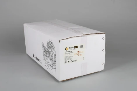 Потолочная люстра на штанге Omnilux Bucine OML-29507-08 (220V, шарики)