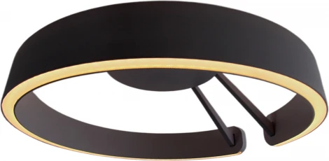 Потолочный светильник круглый светодиодный с пультом Mizi'en Leo MZ31371-600-PB (220V, кольцо)