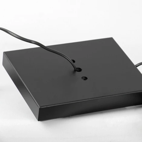 Торшер Lussole Prairie LSP-0913 (LED, 220V, выключатель)