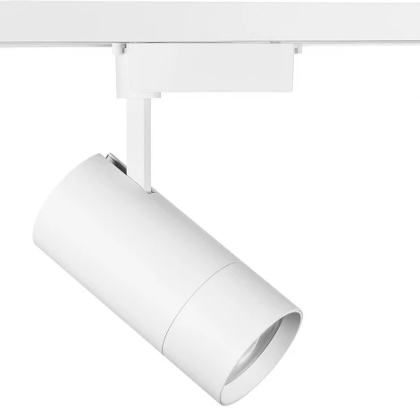 Трековый светильник Lightstar Volta 229436 (LED, 220V, круглые)