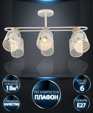 Потолочная люстра Wedo Light Sapri WD3607/6C-WT