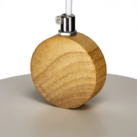 Подвесной светильник светодиодный Ritter Scandia 52077 1