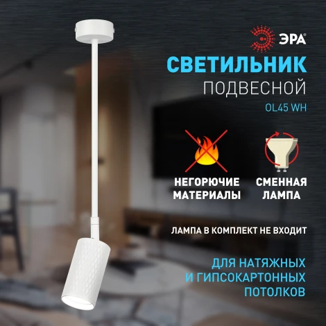Спот на штанге ЭРА OL45 WH (220V)