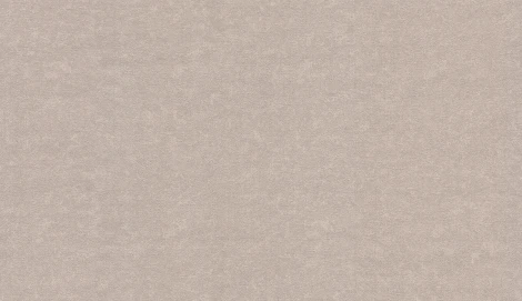 Обои виниловые Erismann Marseille 60247-07 10,05 х 1,06 м