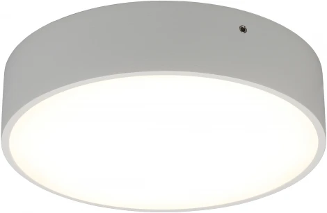 Потолочный светильник круглый Aployt Evon APL.0114.09.18 (LED, 220V, круглые)