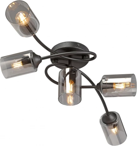 Потолочная люстра Vitaluce V2048-1/5PL (220V)