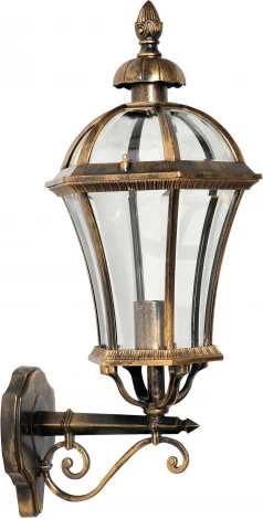 Уличный настенный фонарь Oasis Light ROMA L 95201L/02 Gb (220V, фонарь, IP44)