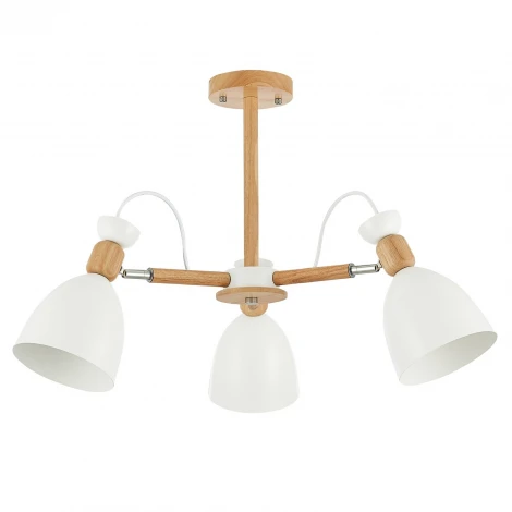 Потолочная люстра Evoluce Balcamo SLE103802-03 (220V)