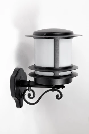 Уличный настенный фонарь Oasis Light TOKIO 68301/02 Bl opal (220V, IP44)