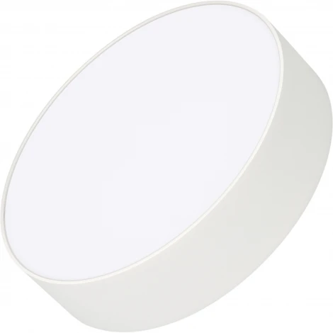 Потолочный светильник LED круглый SP-RONDO-R210-20W Day4000 (WH, 120 deg, 230V) (Arlight, IP40 Металл) 022230(2)
