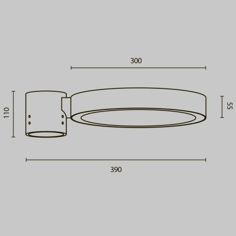 Уличный консольный светильник (без столба) Maytoni Dion O472H-L50GF3K