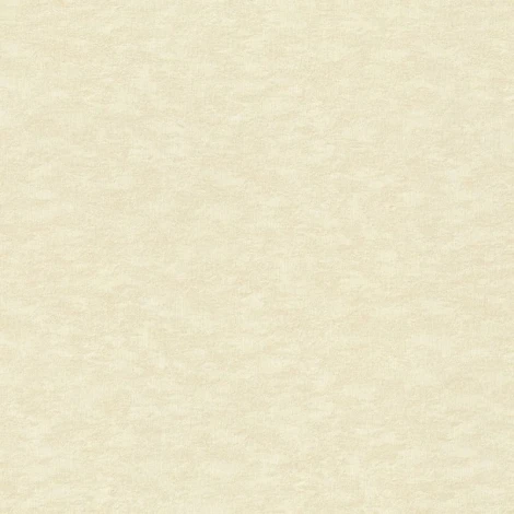 Обои виниловые Rasch Filigrano 964813 10,05 x 1,06 м