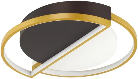 Потолочная люстра Lumion Taro 5239/64CL (LED, 220V, пульт управления, круглые)