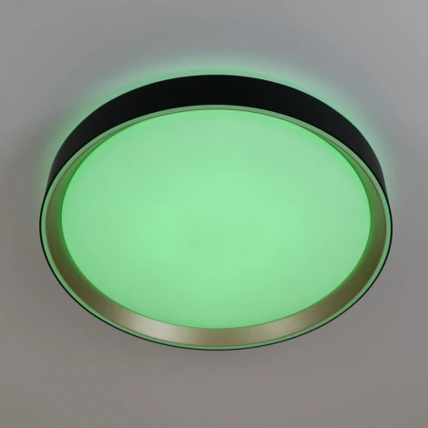 Потолочный светильник RGB круглый светодиодный с пультом Citilux Boss CL751351G (220V, круглые)