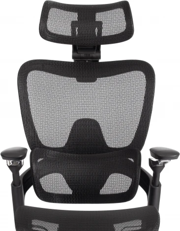 Кресло Sakura Tetchair (Сетка/Черный) арт.24859