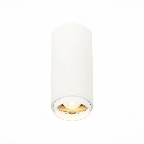 Накладной точечный светильник ST Luce Zoom ST600.532.10 (LED, 220V, круглые)