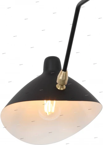 Потолочная люстра ST Luce Spruzzo SL305.402.03