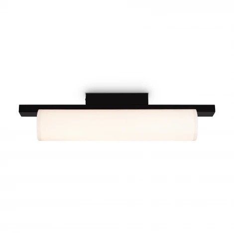 Потолочный светильник Freya Even FR5625CL-L20B