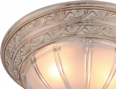 Потолочный светильник Arte Lamp Piatti A8014PL-2WA