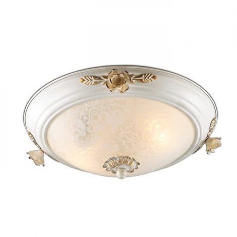 Настенно-потолочный светильник Odeon Light Bone 2692/2C