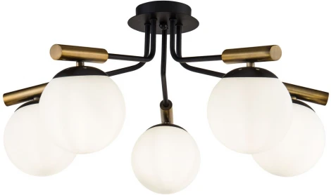 Потолочная люстра Freya Paolina FR5011CL-05B (220V, шарики)
