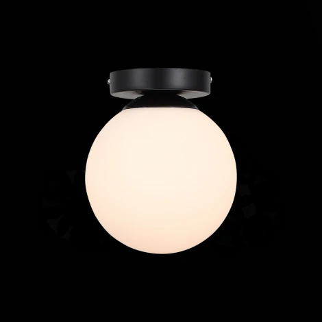 Настенно-потолочный светильник ST Luce Acini SL717.401.01