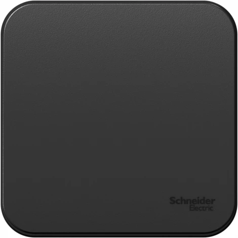 Выключатель накладной одноклавишный (антрацит) Systeme Electric Blanca BLNVA101006