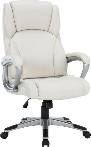 Компьютерное кресло CHAIRMAN CH665 (Пластик,Экокожа/Светло-бежевый)