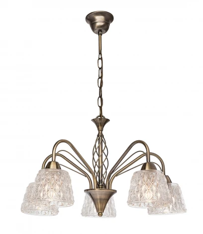 Подвесная люстра Silver Light Alsu 238.53.5