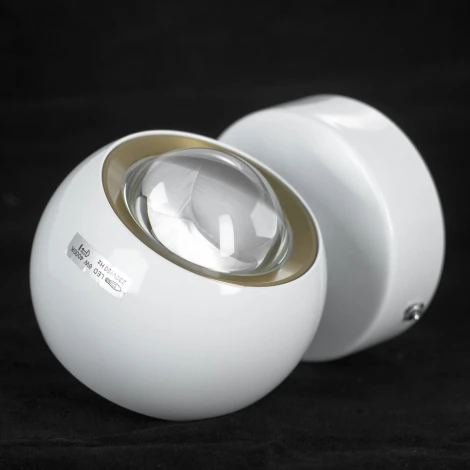 Спот светодиодный Lussole Everett LSP-7076 (220V, шар, круглые)