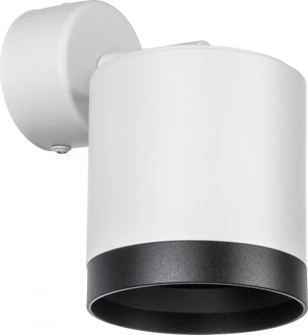 Спот Lightstar Rullo RBX34863487 (220V)